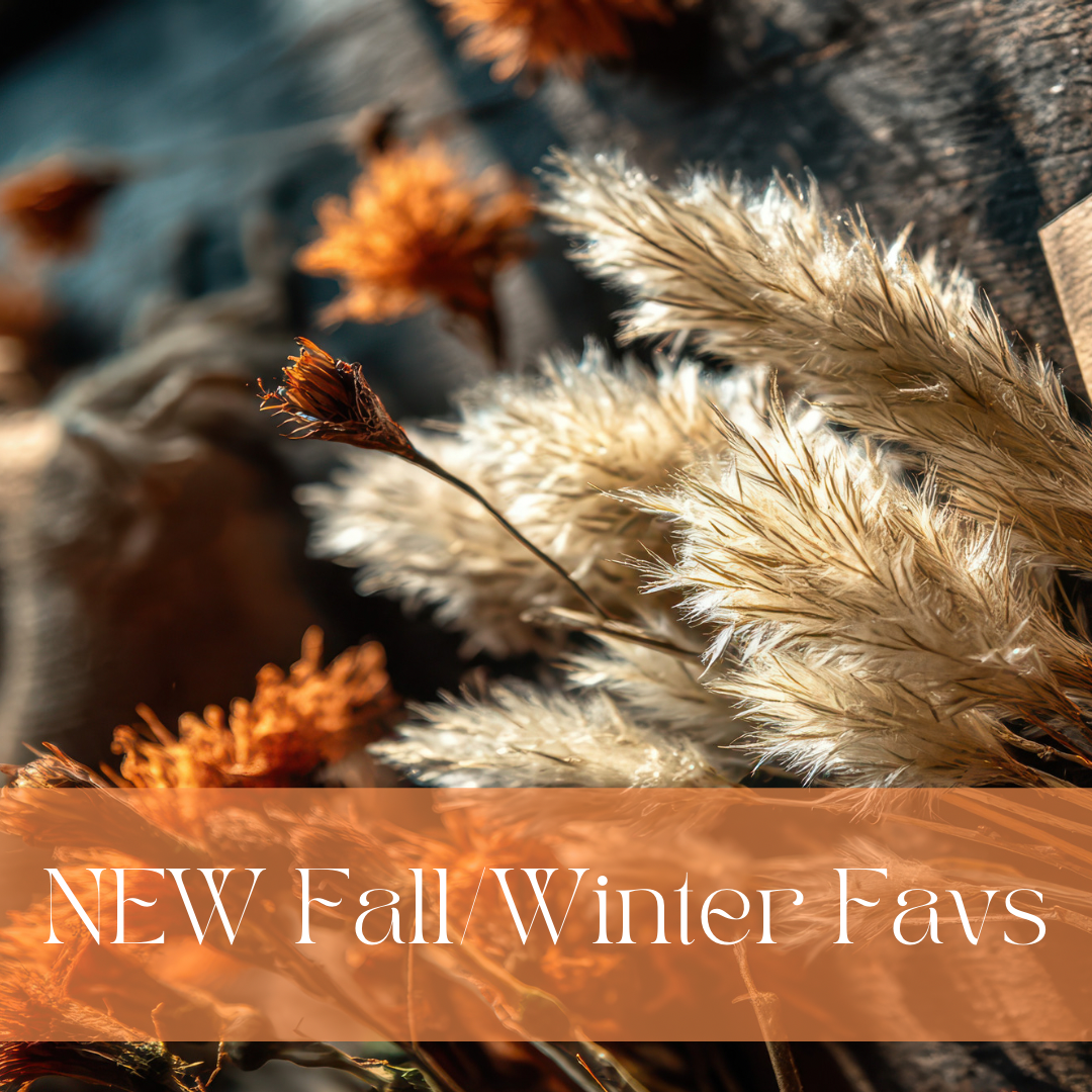 NEW Fall/Winter Favs