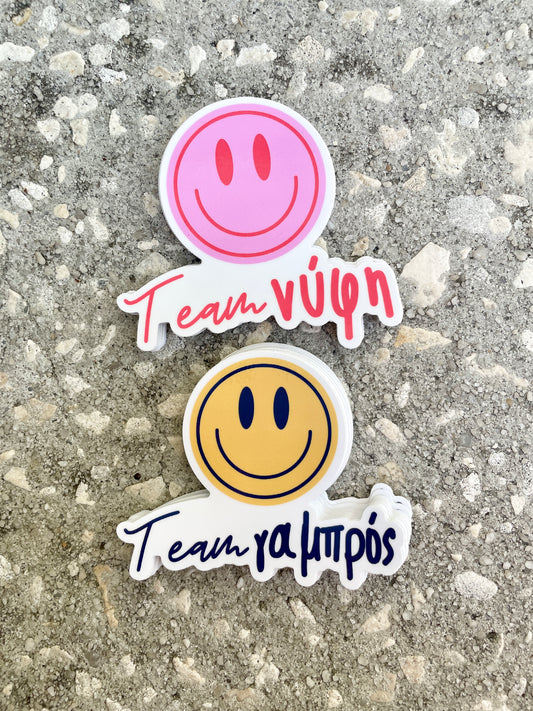Team Nifi/Gambro Smiley Face Shiny 2 Inch Sticker