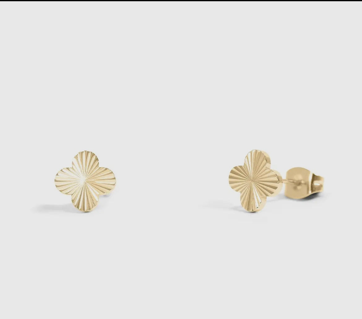 Stainless Steel Stud Earrings